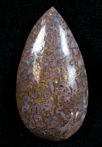 Teardrop Agatized Dinosaur Bone Cab #9374